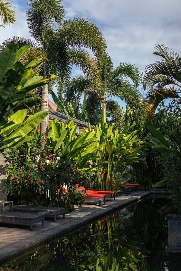 Hotel Le Chien Rouge Lovina Exterior foto